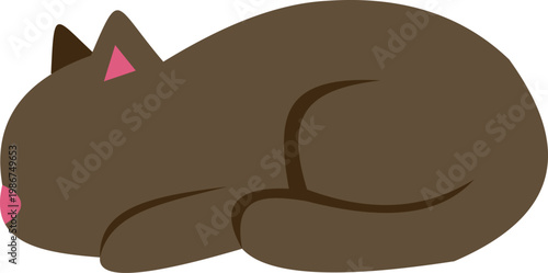 Cute brown feline resting or napping, curled up on white background