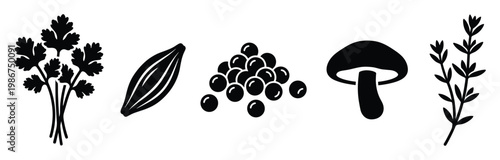 Collection of essential kitchen ingredients such as fresh cilantro, aromatic cardamom, spicy peppercorns, earthy mushroom, and fragrant thyme for culinary designs and restaurant branding