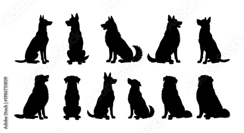 Black dog silhouettes collection, set of 11 sitting canine vector shapes, various dog breeds in profile and front view, domestic pet animal graphics