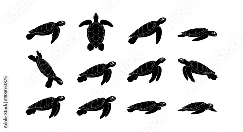 Sea turtle silhouette collection, 12 black marine reptile icons, swimming ocean turtle vector set for conservation and aquatic design