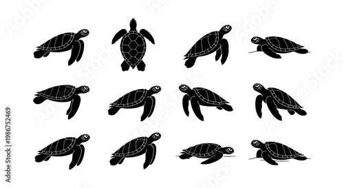 Sea turtle silhouette collection, 12 black marine animal icons, swimming turtle vector set, aquatic wildlife illustrations for ocean conservation