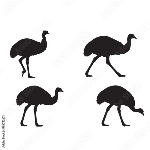 Emu Silhouette Set Black White Vector Minimal Illustration
Emu Bird Silhouettes Collection Simple Flat Design Pack
Emu Vector Bundle Black and White Wildlife Silhouette Set
