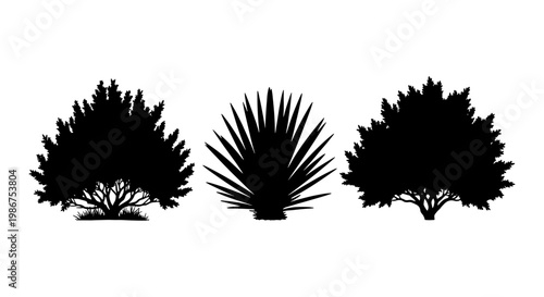 Black bush silhouettes, set of 3 garden shrub vector elements, desert agave and landscape plant icons isolated on white background