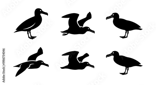 Albatross bird silhouette collection, set of 6 flying and standing seabird icons, black oceanic bird vector graphics for nautical design
