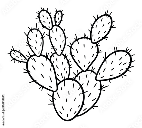 Simple line drawing of a prickly pear cactus with multiple pads and spines suitable for educational materials botanical prints or desert landscape themed projects