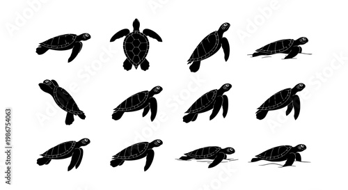 Sea turtle silhouette collection, 12 black marine animal icons, swimming ocean reptile vector set for conservation and aquatic design