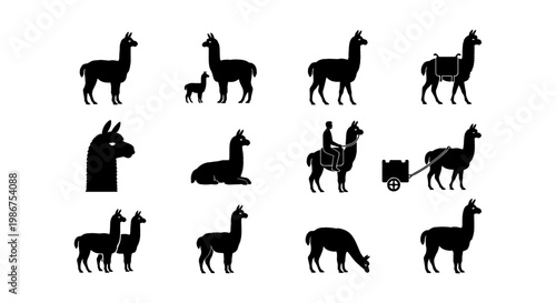 Llama silhouette icon set, 12 black alpaca vector elements, South American camelid animal graphics for farm and nature branding
