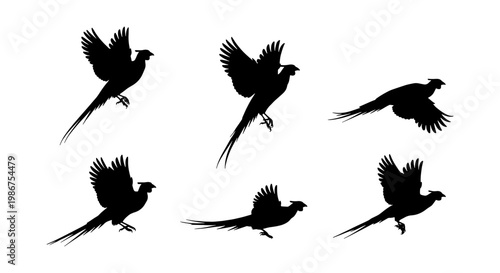 Pheasant silhouette vector set, flying game bird silhouettes in various poses, 6 black wild bird icons for hunting and nature design