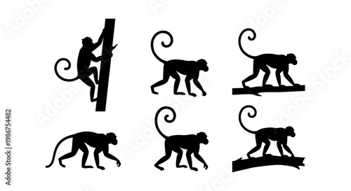 Monkey silhouette vector set, black primate animal silhouettes in various poses, wild macaque and ape icons for nature design, 6 elements