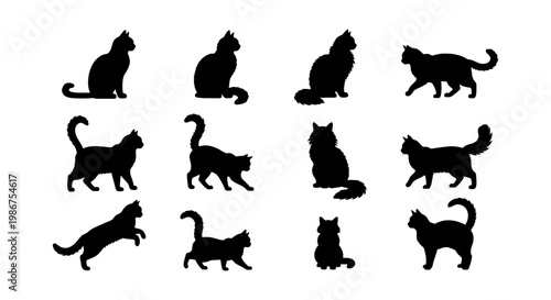 Black cat silhouettes collection, set of 12 feline vector shapes in various poses, domestic cat icons for pet branding and animal graphics