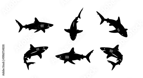 Shark silhouette collection, set of 6 predator fish icons. Great white shark vector illustrations, marine wildlife silhouettes for ocean conservation graphics.