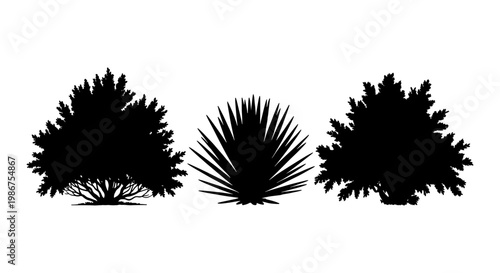 Fotografie Black bush silhouette set, garden shrub and desert plant vector icons, collectio
