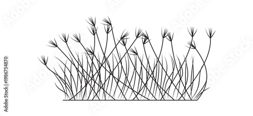 Minimal Wild Grass Line Art Botanical Nature Illustration