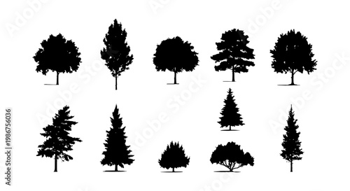 Black tree silhouettes collection, set of 10 vector tree icons, deciduous and coniferous forest plant shapes, isolated nature elements for landscape design