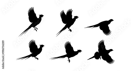 Pheasant bird silhouettes collection, set of 6 flying game bird vector icons, black wild pheasant shapes for hunting and nature design