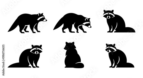 Raccoon silhouette set with 6 vector icons, black raccoon animal shapes in various poses, wild forest mammal graphics for logo design and nature branding