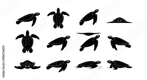 Sea turtle silhouette collection, 12 black marine reptile icons, swimming and crawling aquatic turtle vector set for ocean conservation and nature design