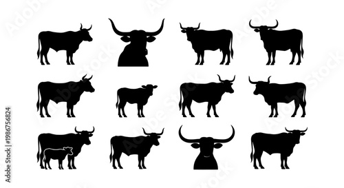 Bull and cow silhouettes collection, 12 cattle animal vector elements, black livestock icons for farm branding and ranching logos