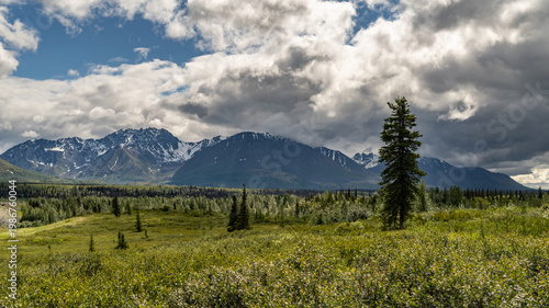 Alaska mountains, glacier, forest, view of Homer spit