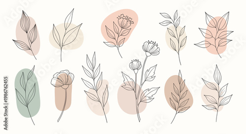 Minimalist botanical illustration evokes calmness and growth, perfect for wellness branding, social media, and website design.