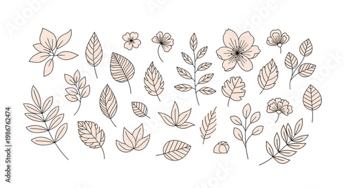Minimalist leaf drawing conveys organic elegance, ideal for branding, website design, or adding a touch of nature to any creative project. Creates a s