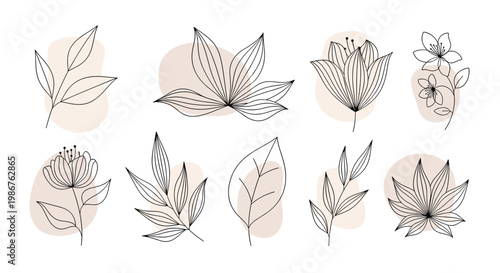 Elegant line drawing of a flower paired with a soft, abstract circle. Evokes serenity and growth, suitable for branding, website design, or social med