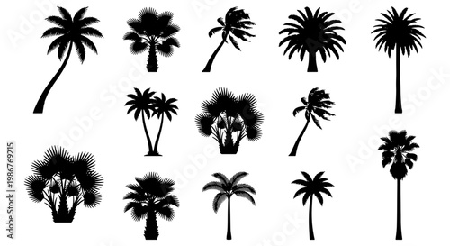 Tropical palm tree silhouettes, 14 black botanical vector elements, exotic summer plant icons for vacation travel and beach landscape design