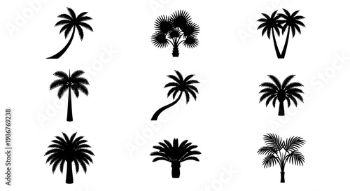 Black palm tree silhouette icons, set of 9 tropical tree vector elements, minimalist exotic plant shapes for summer vacation and beach branding