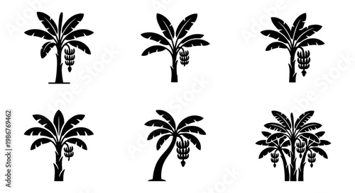 Tropical banana tree silhouette icons, set of 6 black exotic plant vectors, botanical palm leaf illustrations for summer vacation branding