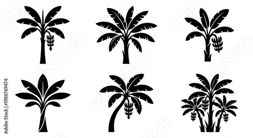 Banana tree silhouette icons, tropical palm leaf vector set, 6 black plant elements with fruit bunches, exotic botanical flora for summer branding