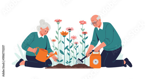 Senior couple works together in their garden to dig soil and water a row of beautiful pink and orange flowers on a white background.