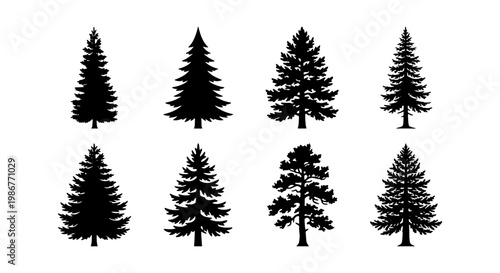 Pine tree silhouette collection, 8 evergreen conifer vector elements, black spruce and fir forest icons, minimalist nature graphics for outdoor branding