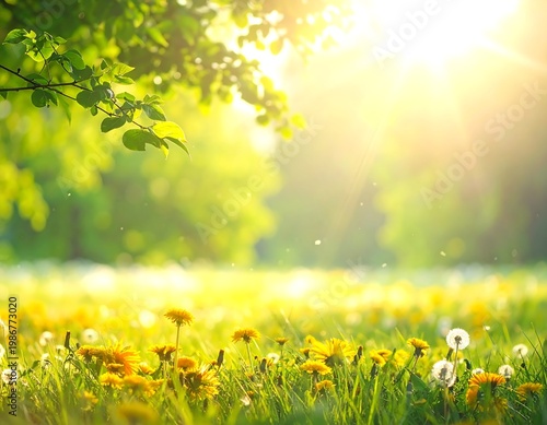 A serene landscape with a lush green field and trees