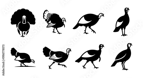 Wild turkey silhouette vector set, 8 black bird icons for Thanksgiving and hunting designs, rustic poultry farm animal graphics on white background