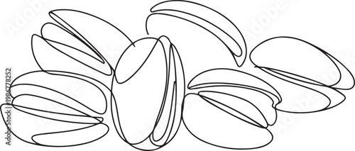 Tasty Pistachio Drawing, Organic pistachios in the sun, Healthy food. one line Icon drawing