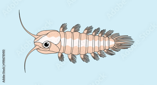 Detailed illustration of a prehistoric marine arthropod swimming in ancient oceans with multiple legs and long antennae.