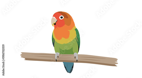 Colorful peach-faced lovebird parrot perched on a single wooden branch against a clean white background for nature design.