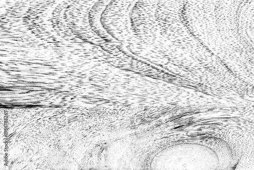 Black and white wood texture background.