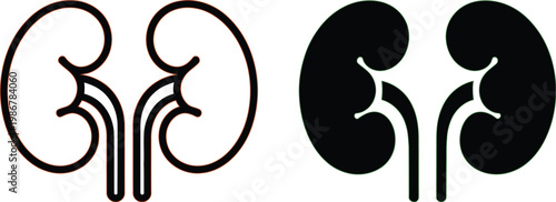 Kidney icons, medical anatomy illustration with line art and solid silhouette kidneys minimalist black and white healthcare design