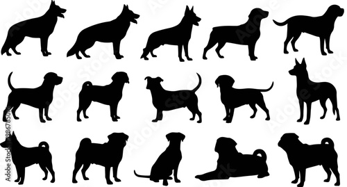 Dog breed silhouettes collection, 15 black canine vector icons, diverse pedigree puppy shapes, standing and sitting pet animal profiles