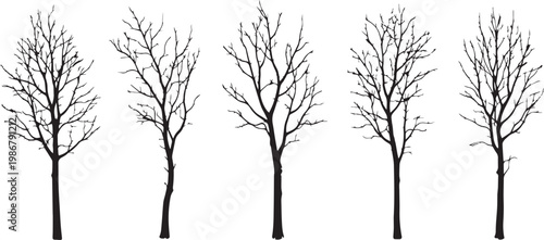 A professional photographer captures a high-resolution close-up of a diverse creative team collaborating on a digital interface in a bright modern office