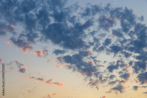 Golden and pink altocumulus clouds in the blue evening sky. A beautiful sunset backdrop