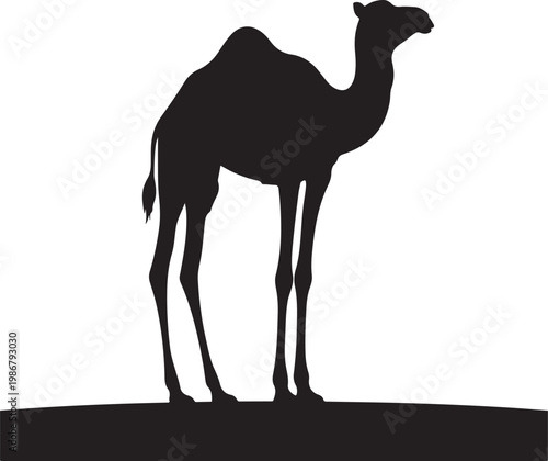 Camel Silhouette Walking in Desert Dunes, Minimal Wildlife Desert Animal Vector Illustration