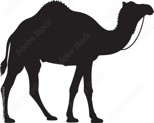 Camel Silhouette Walking in Desert Dunes, Minimal Wildlife Desert Animal Vector Illustration