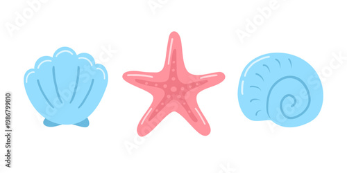 Set of seashells and starfish isolated on white background. Vector illustration 