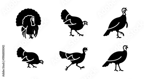 Black turkey silhouette icons set, 6 minimalist bird vector illustrations, wild turkey poultry symbols for Thanksgiving and autumn design