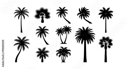 Tropical palm tree silhouettes, collection of 12 black botanical vector elements, exotic summer vacation plant icons for travel and beach design