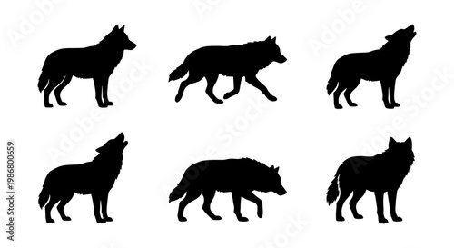Black wolf silhouette collection, set of 6 wild animal vector shapes, howling and walking timber wolves, predatory canine graphics for logos