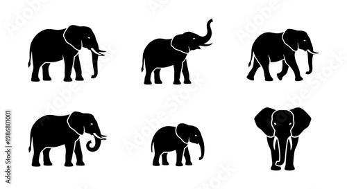 Elephant silhouette vector set, 6 black african elephant icons in various poses, wild animal silhouettes for logo design and nature conservation branding