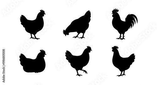 Black chicken silhouette collection, set of 6 farm bird vector icons, rooster and hen silhouettes for organic food branding and farm signage